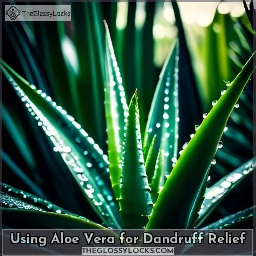 Using Aloe Vera for Dandruff Relief
