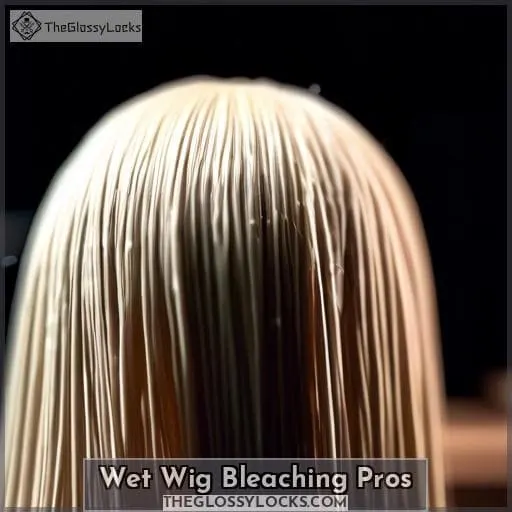 Wet Wig Bleaching Pros