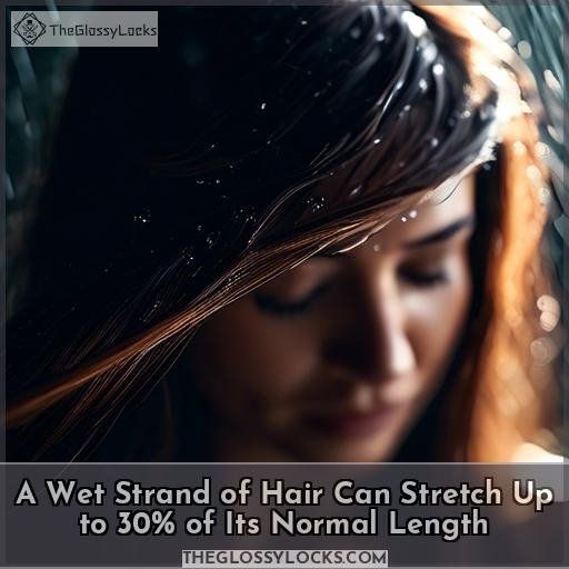 A Wet Strand of Hair Can Stretch Up to 30% of Its Normal Length