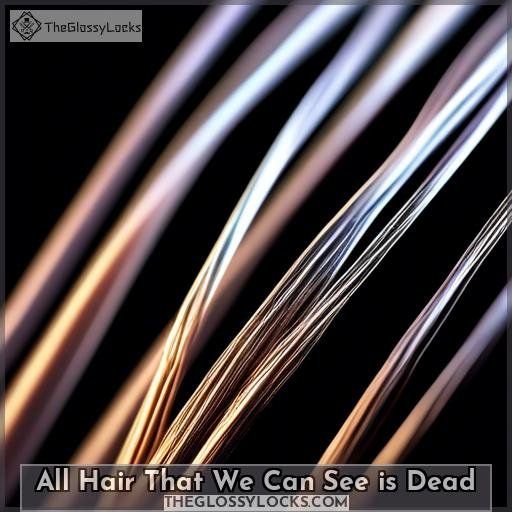 All Hair That We Can See is Dead