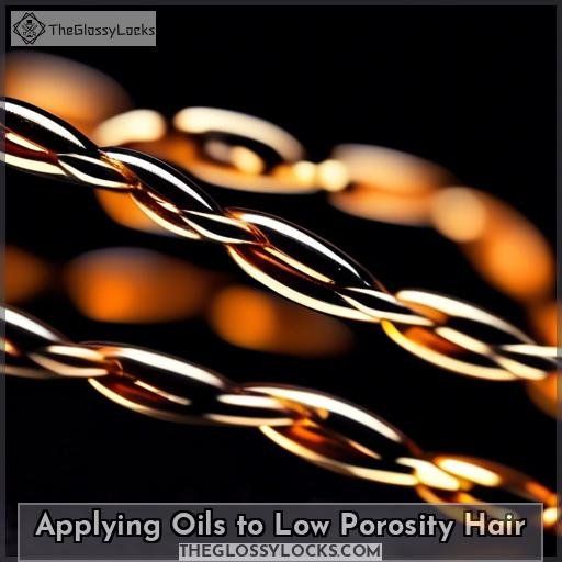 Applying Oils to Low Porosity Hair