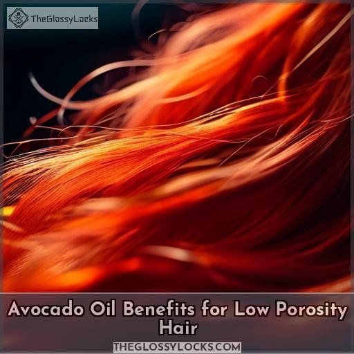 Avocado Oil Benefits for Low Porosity Hair