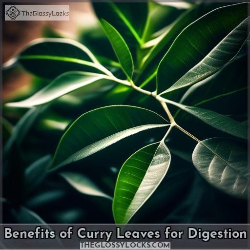 Benefits of Curry Leaves for Digestion