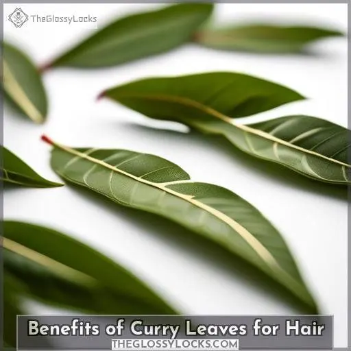 Benefits of Curry Leaves for Hair