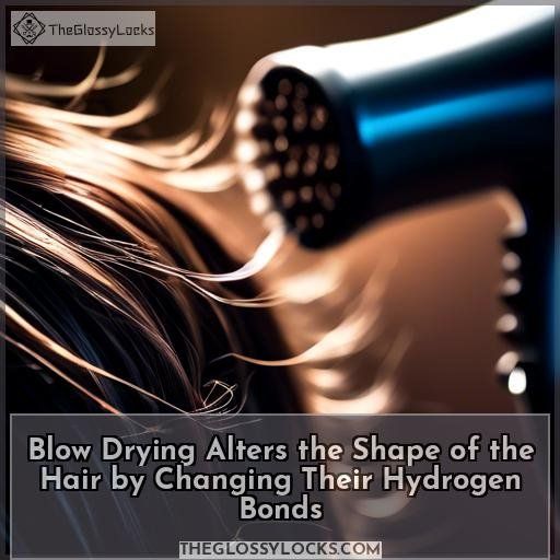 Blow Drying Alters the Shape of the Hair by Changing Their Hydrogen Bonds