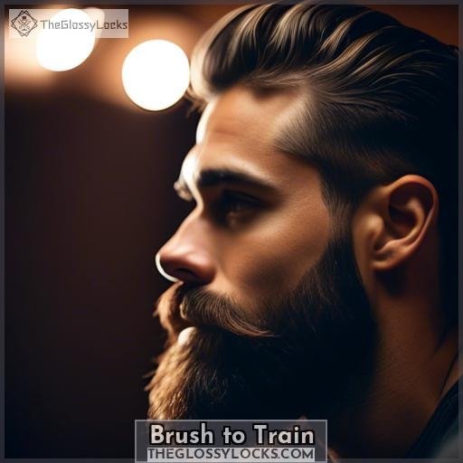 Brush to Train