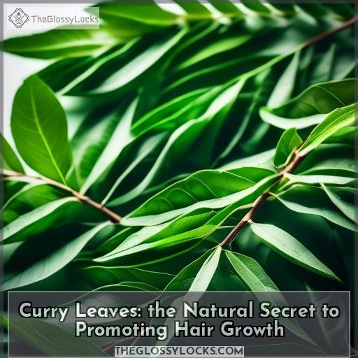 can I eat curry leaves for hair growth can I eat curry leaves for hair growth