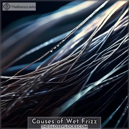 Causes of Wet Frizz