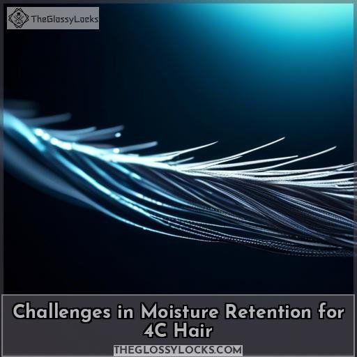 Challenges in Moisture Retention for 4C Hair