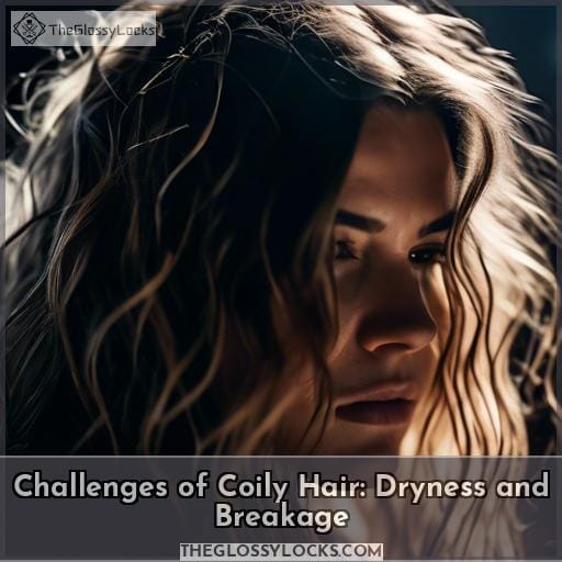 Challenges of Coily Hair: Dryness and Breakage