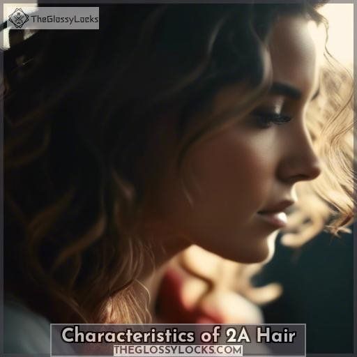 Characteristics of 2A Hair