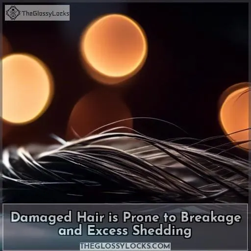 Damaged Hair is Prone to Breakage and Excess Shedding