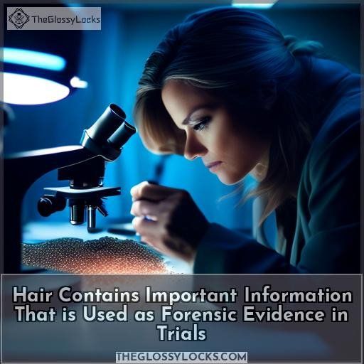 Hair Contains Important Information That is Used as Forensic Evidence in Trials