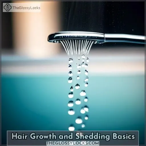 Hair Growth and Shedding Basics