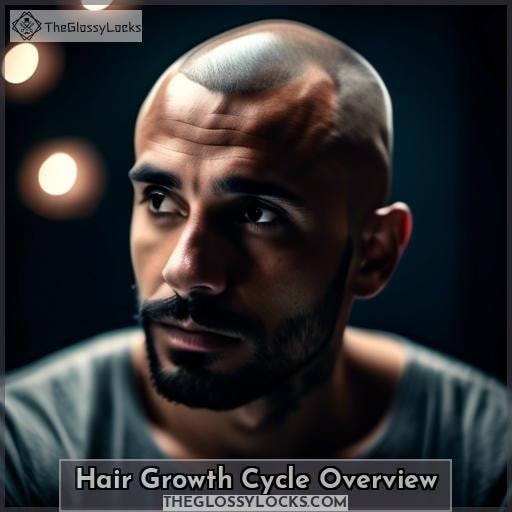 Hair Growth Cycle Overview