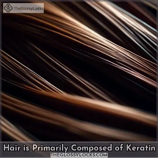 Hair is Primarily Composed of Keratin