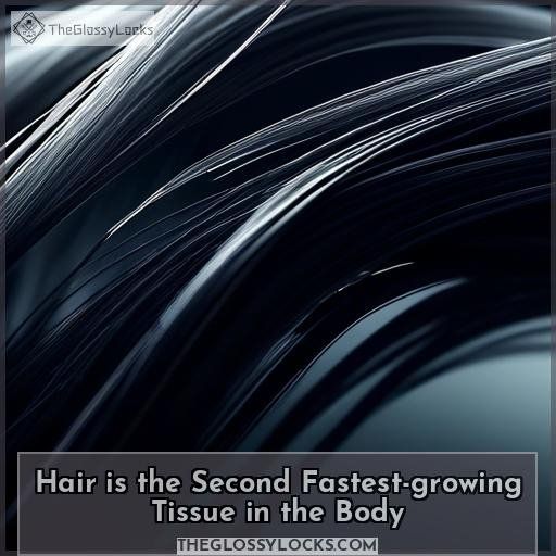 Hair is the Second Fastest-growing Tissue in the Body