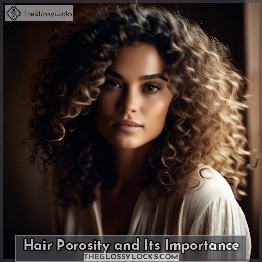 Hair Porosity and Its Importance