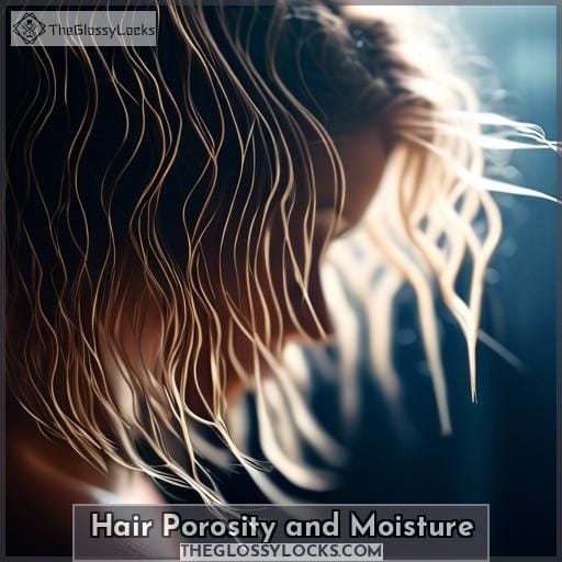 Hair Porosity and Moisture Hair Porosity and Moisture