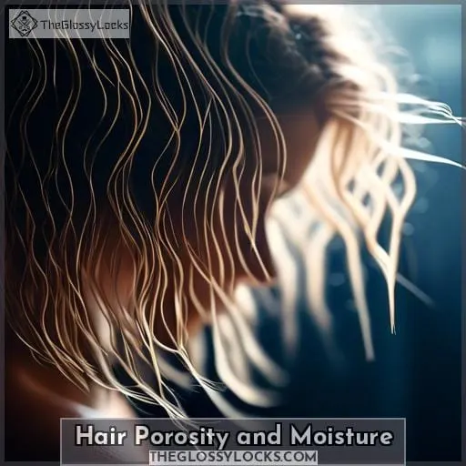 Hair Porosity and Moisture