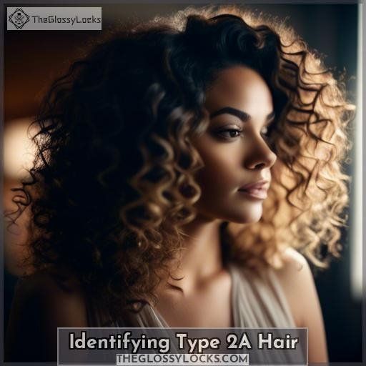 Identifying Type 2A Hair