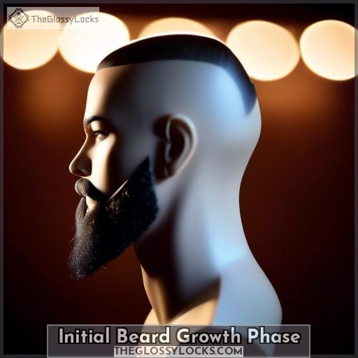 Initial Beard Growth Phase