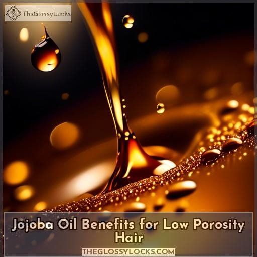 Jojoba Oil Benefits for Low Porosity Hair