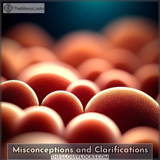 Misconceptions and Clarifications