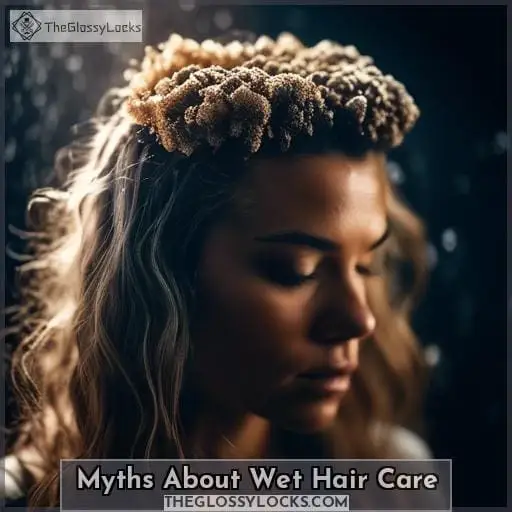 Myths About Wet Hair Care