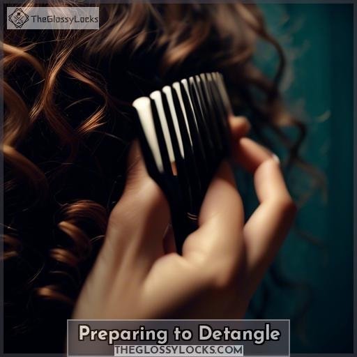 Preparing to Detangle Preparing to Detangle