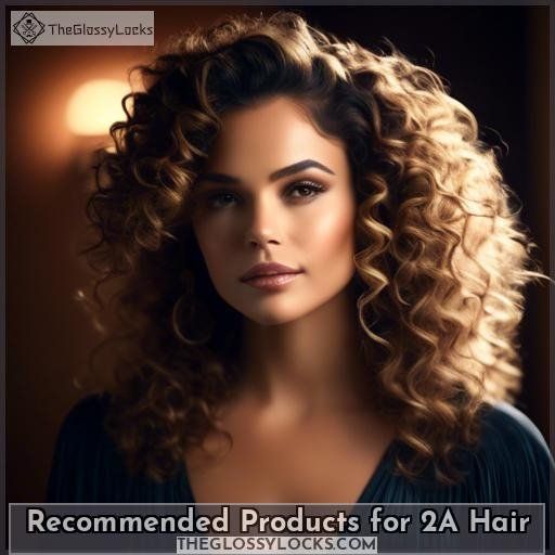 Recommended Products for 2A Hair