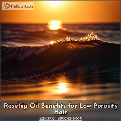 Rosehip Oil Benefits for Low Porosity Hair