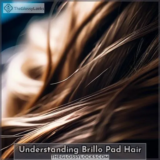 Understanding Brillo Pad Hair