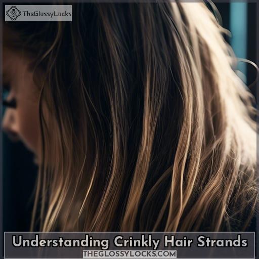 Understanding Crinkly Hair Strands