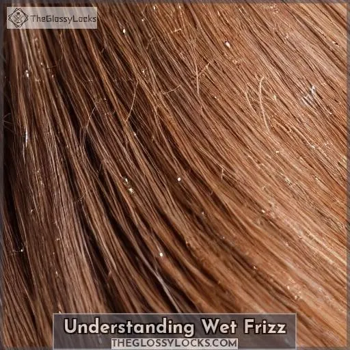 Understanding Wet Frizz