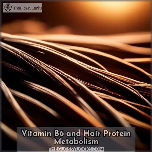 Vitamin B6 and Hair Protein Metabolism