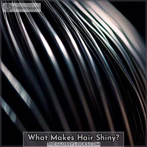 What Makes Hair Shiny