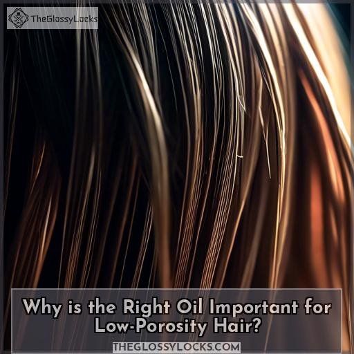 Why is the Right Oil Important for Low-Porosity Hair