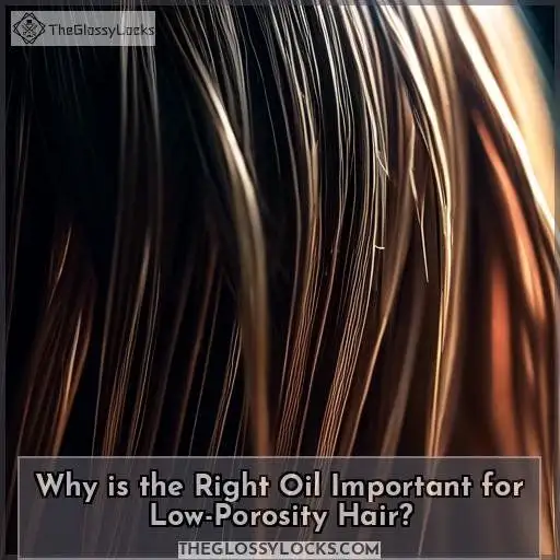 Why is the Right Oil Important for Low-Porosity Hair Why is the Right Oil Important for Low-Porosity Hair