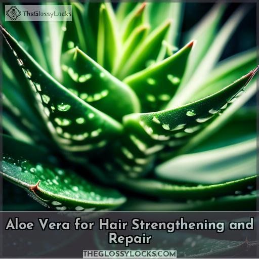 Aloe Vera for Hair Strengthening and Repair