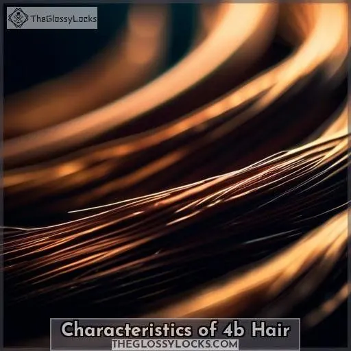 Characteristics of 4b Hair