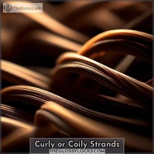 Curly or Coily Strands