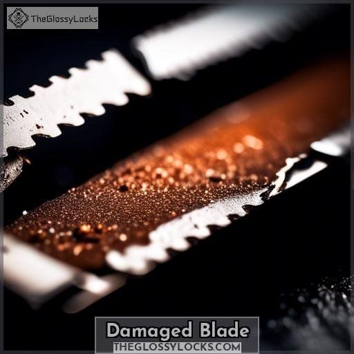 Damaged Blade