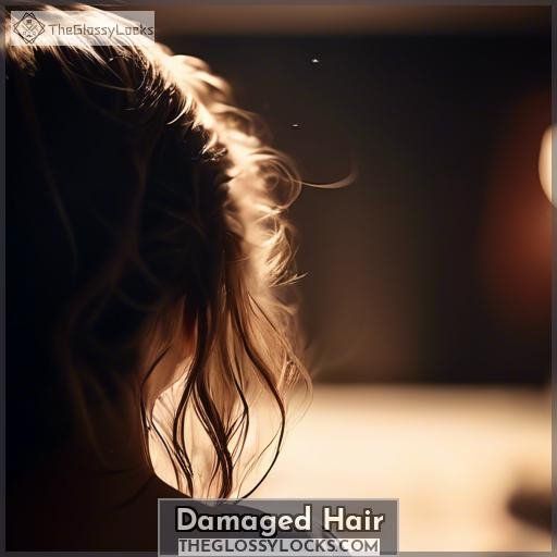 Damaged Hair