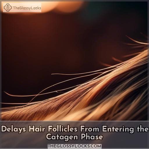 Delays Hair Follicles From Entering the Catagen Phase