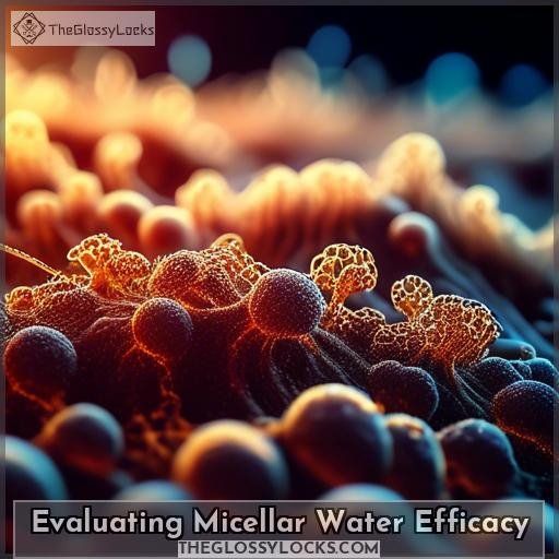 Evaluating Micellar Water Efficacy