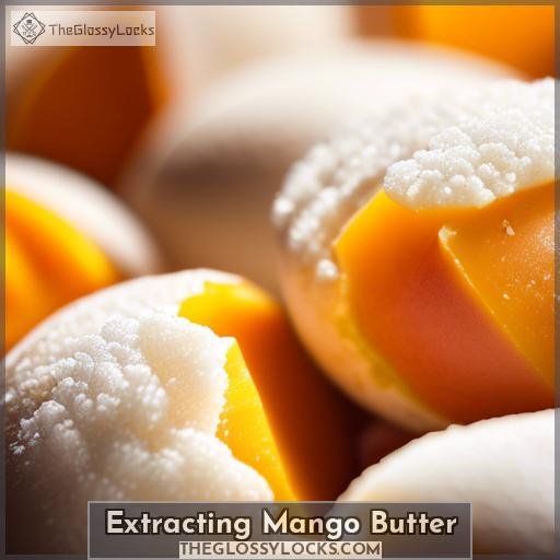 Extracting Mango Butter