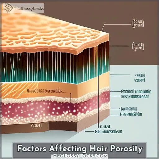 Factors Affecting Hair Porosity