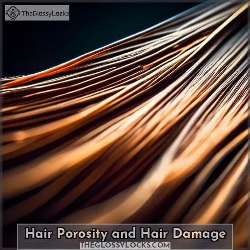Hair Porosity and Hair Damage