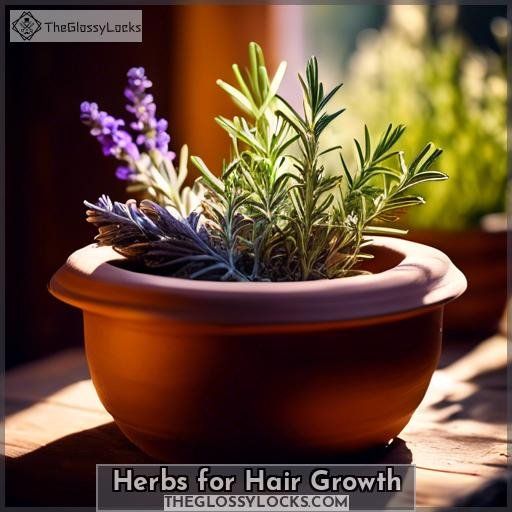 Herbs for Hair Growth